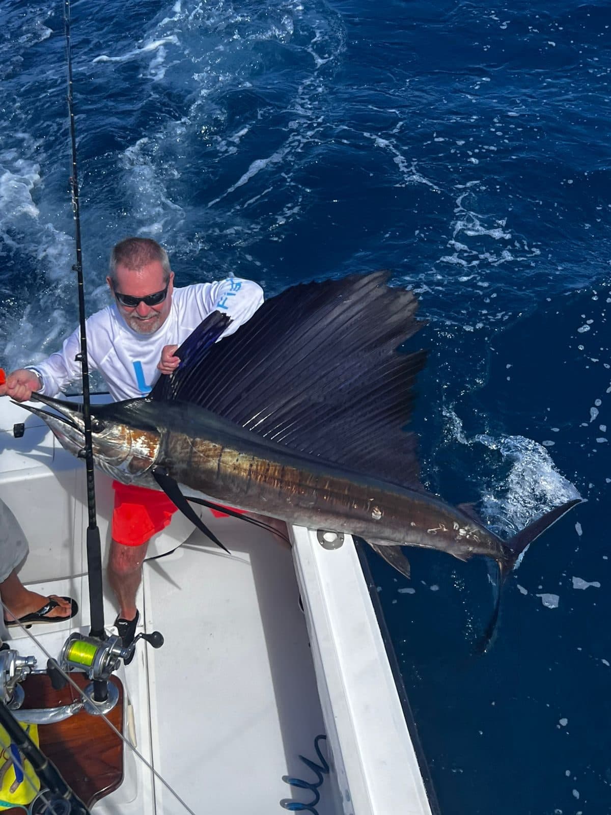 Angler holding a sailfish at the side of the Predator offshore