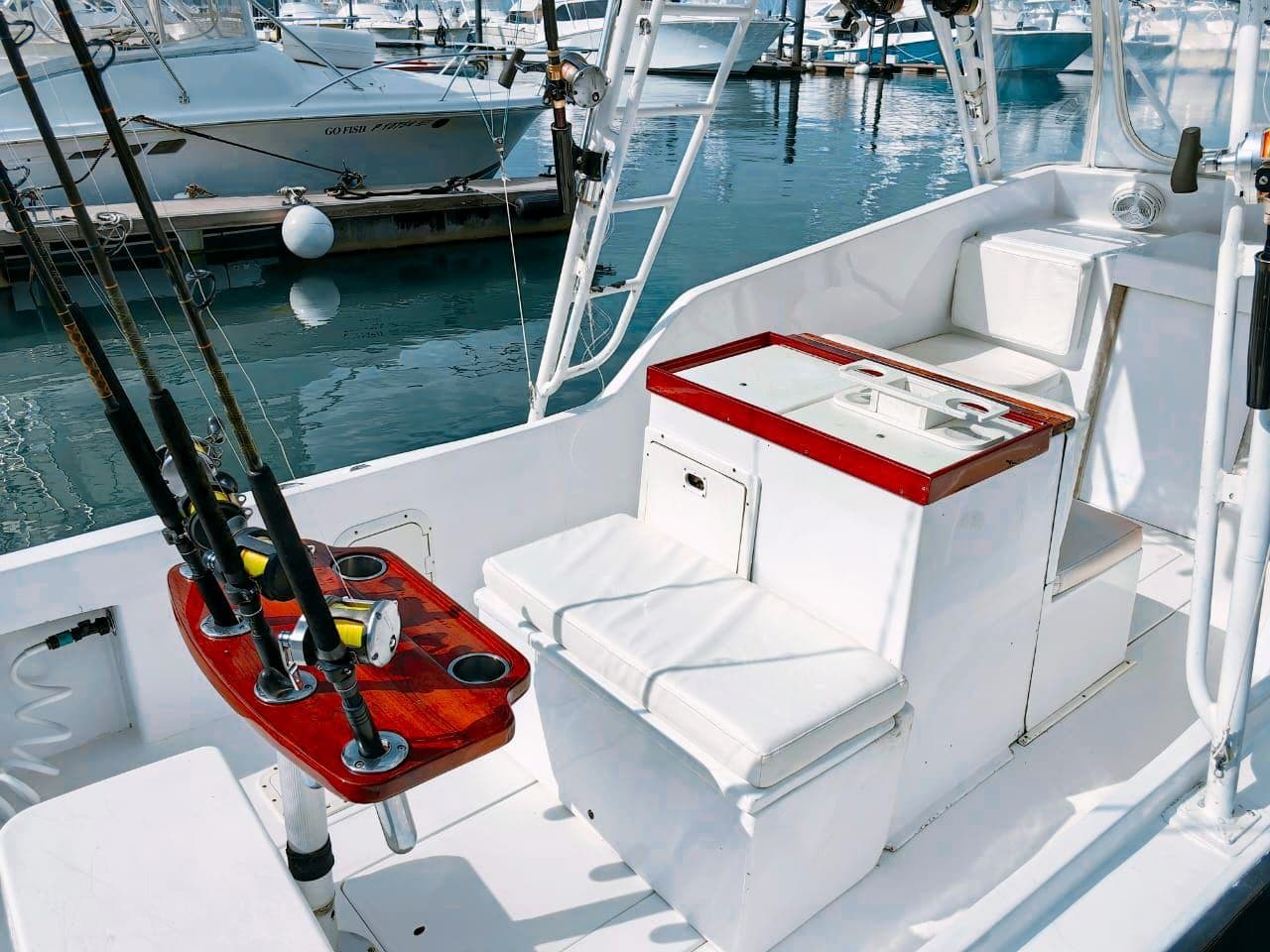 Cockpit with the rod holder, tackle center and seating